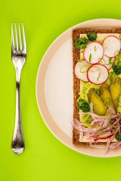 Vegetarian Avocado and Cheese With Radishes and Gherkins Rye Bread Sandwich — Stock Photo, Image