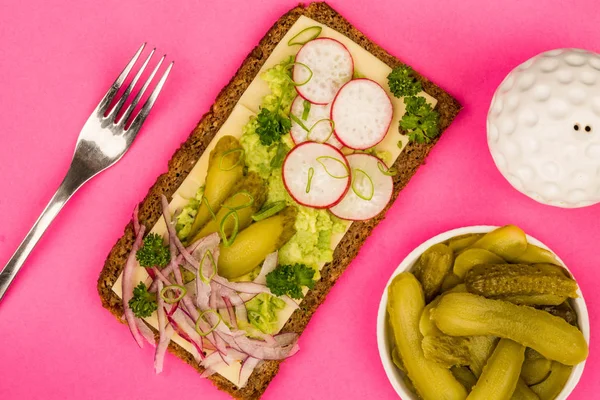 Vegetarian Avocado and Cheese With Radishes and Gherkins Rye Bread Sandwich — Stock Photo, Image