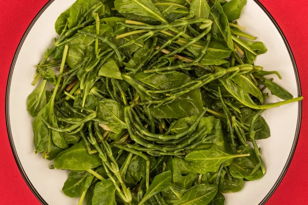 ベジタリアン海 Samphire と海のビートの野菜サラダ — ストック写真