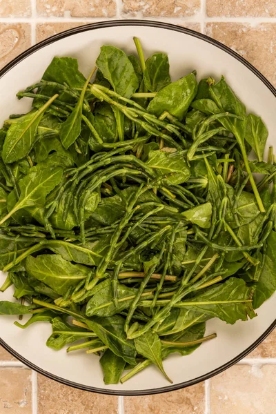 Vegetarian Sea Vegetable Salad Of Samphire and Sea Beet — Stock Photo, Image