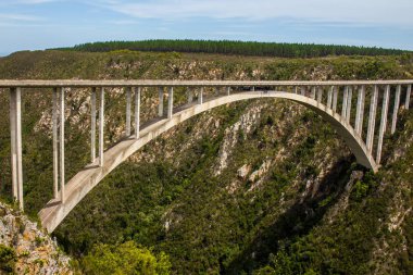 Bloukrans Bungy atlama köprü doğa'nın Vadisi Güney Afrika
