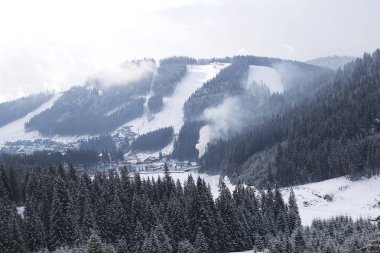 Kış dağlarındaki çam ağaçlarının manzarası.