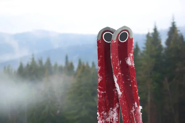 Sciare Sullo Sfondo Delle Montagne Invernali Foresta Con Neve Nella — Foto Stock