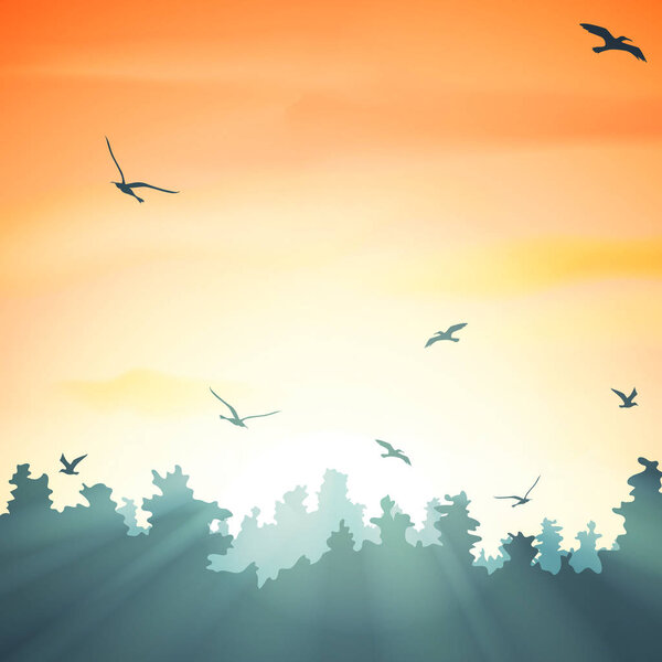 sunset in the forest, vector illustration