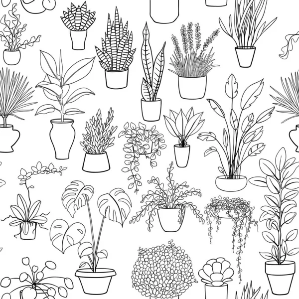 Patrón Sin Costura Blanco Negro Con Plantas Casa — Vector de stock