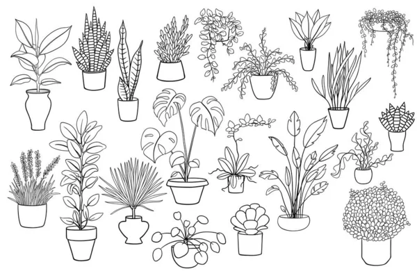 家の植物の20黒と白のイラスト — ストックベクタ