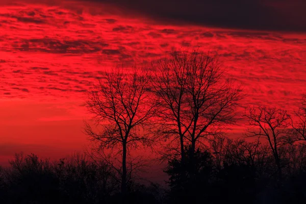 Şeytani günbatımı ve siyah ahşap — Stok fotoğraf