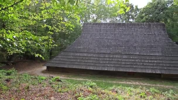 Antigua casa de madera en el bosque — Vídeo de stock