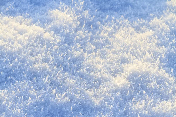 Blauwachtige verse sneeuw die betrekking hebben op de grond — Stockfoto