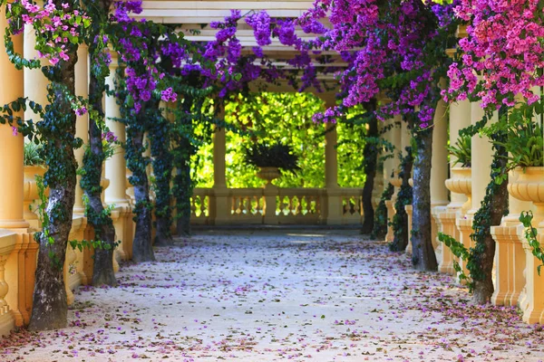 renkli çiçeklerle antik sütunlar