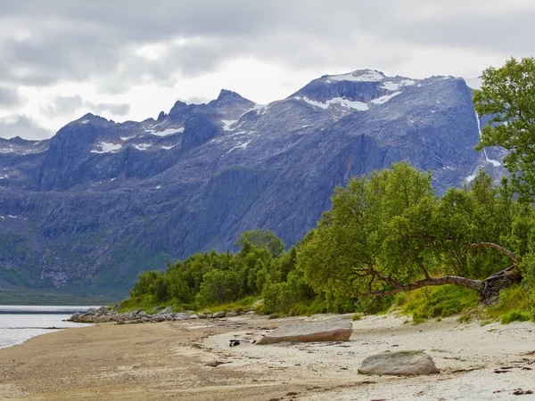 Viking přístav, hory se zasněženými fjord — Stock fotografie