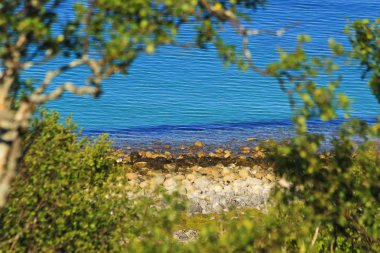 vahşi bir kumsalda görüntülemek