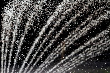 Sulama Bahçe Bitkileri ve su sıçramalarına siyah arka plan üzerine