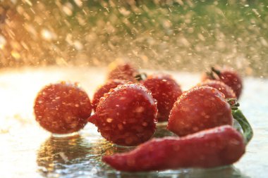 Yağmurda taze kırmızı sebze