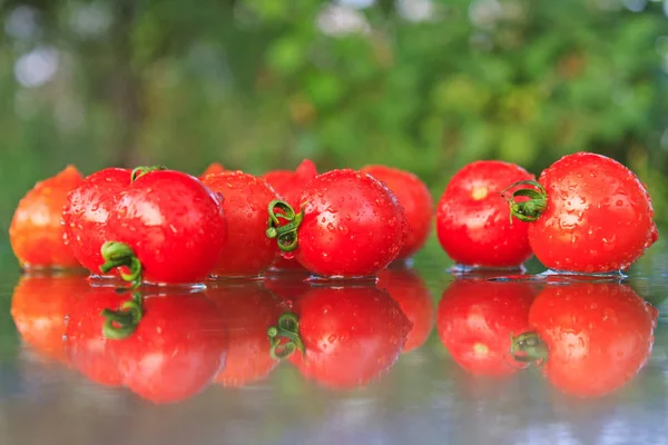Masadaki kırmızı domatesler — Stok fotoğraf