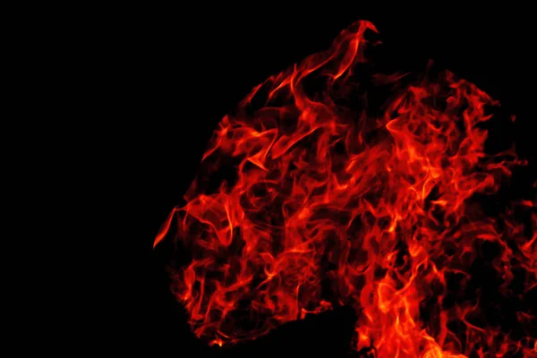 Pantera in fiamme su fondo nero — Foto Stock