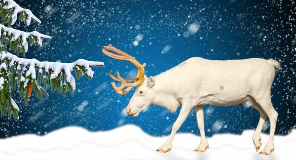 Invierno vacaciones bandera concepto horizontal ciervos detrás de un paisaje nevado —  Fotos de Stock