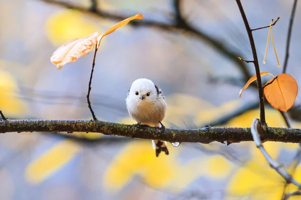 Cute Fluffy Forest Bird Rain Winter Holidays Birds Creativity — Stock Photo, Image