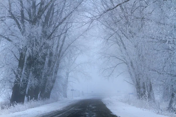 Winter Fog Road Winter Period — Stock Photo, Image