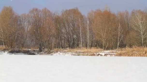 Nieve de invierno sobre el lago congelado — Vídeos de Stock