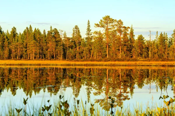 Prachtige Zomeravond Scandinavië Landschap Reizen — Stockfoto