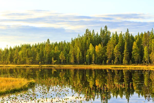 Klarer See Und Urwald Bei Sonnenuntergang Landschaft Und Reisen — Stockfoto