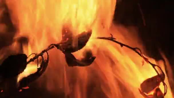 La rama con las hojas se quema en el fuego — Vídeos de Stock