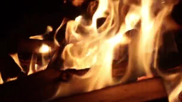 Feu de joie scout brûle la nuit au ralenti — Video