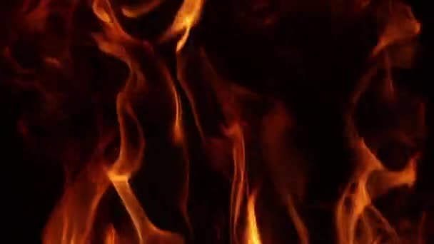 Beautiful flame tongues slow motion — Stockvideo