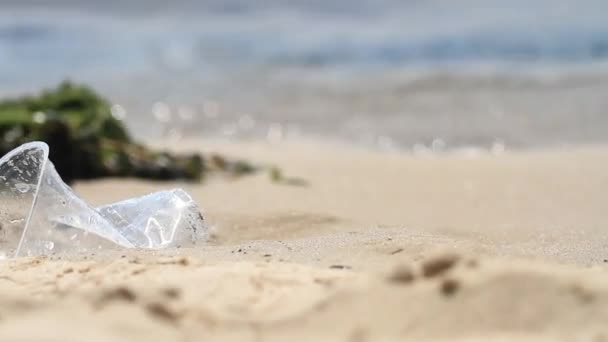 Gobelet en plastique repose sur un rivage — Video