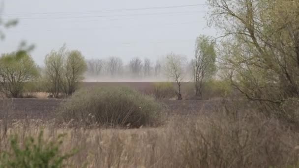 Prachová bouře způsobená erozí půdy — Stock video