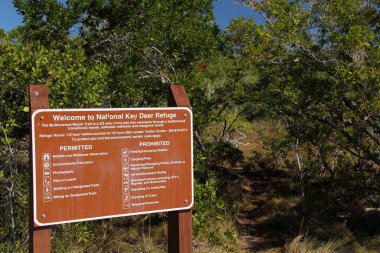 Buttonwood Marsh iz