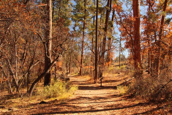 Bandelier National Monument Trail