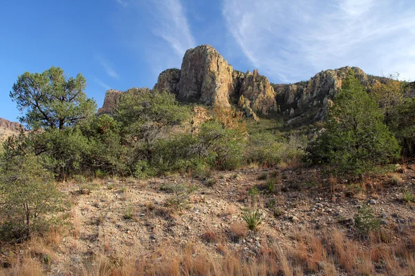 Chisos Montanhas Paisagem — Fotografia de Stock