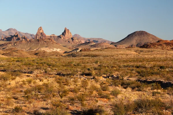 Mule Orelhas Paisagem — Fotografia de Stock