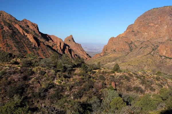 Big bend národní park — Stock fotografie