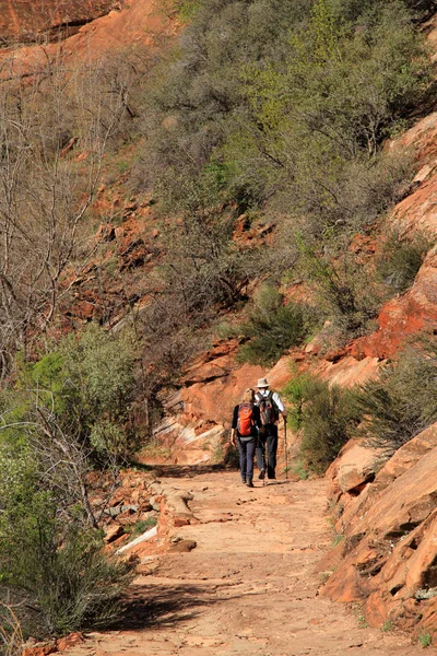 Dolda Canyon Fotvandring — Stockfoto