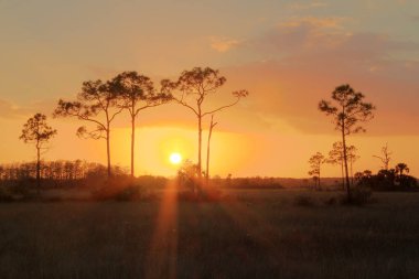 Florida Everglades günbatımı