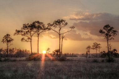Florida Everglades günbatımı