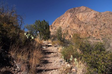 Backcountry iz ve dağ arka planda