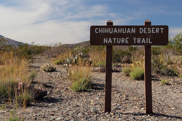奇瓦瓦沙漠自然教育径 — 图库照片