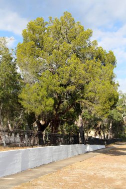 Apalachicola bağlantı noktası şehir mezarlığına eski