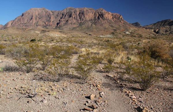 Ward våren Trail — Stockfoto