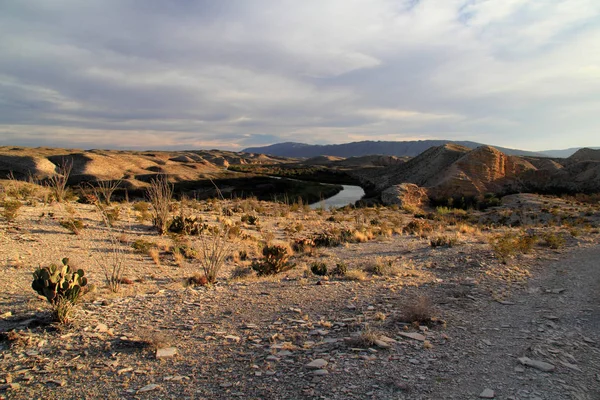 Big bend nemzeti park — Stock Fotó