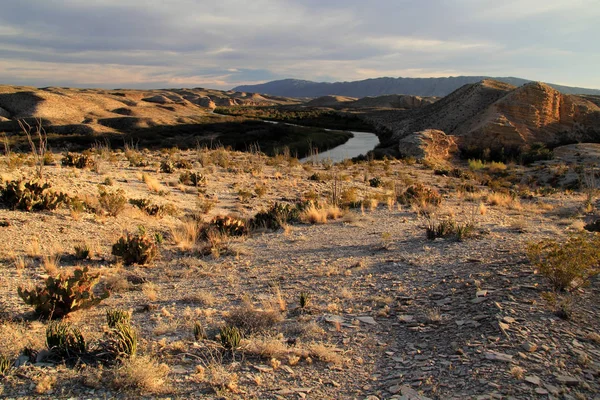 Parku narodowym Big bend — Zdjęcie stockowe