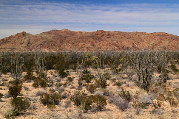 Big bend nationalpark — Stockfoto