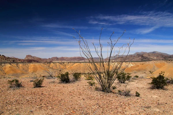 Big bend nationalpark — Stockfoto