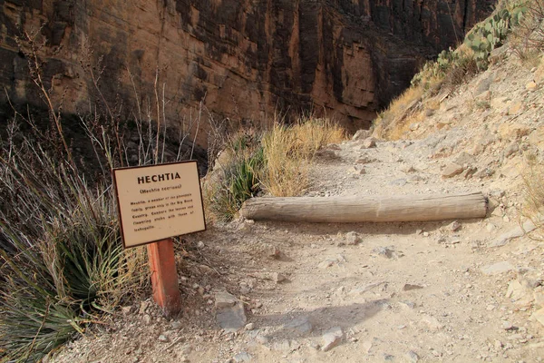 Santa Elena Canyon szlak — Zdjęcie stockowe