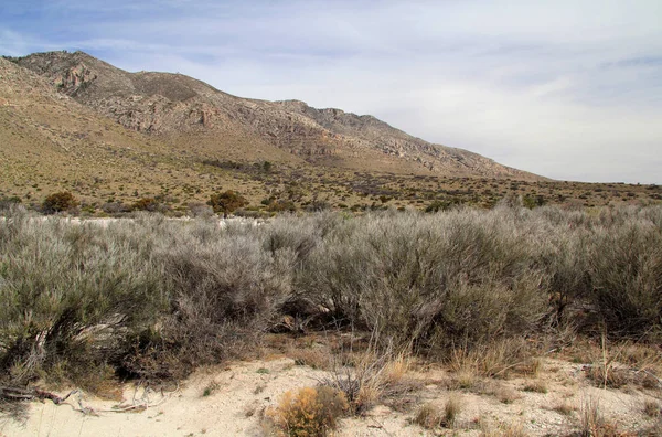 Guadalupe Dağları Ulusal Parkı