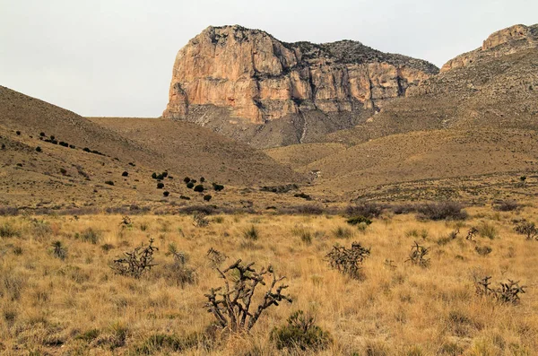 Nationalpark Guadalupe Mountains — Stockfoto